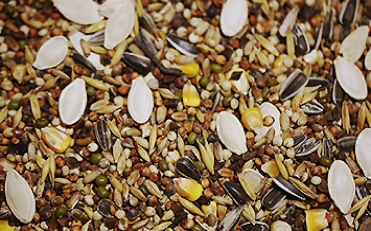 2.5 Kg hochwertiges und Artgerechtes Futter futter für Ihren Hamster. &nbsp;