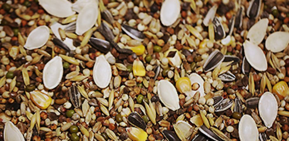 2.5 Kg hochwertiges und Artgerechtes Futter futter für Ihren Hamster. &nbsp;