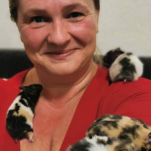 Wunderschöne dreifarbige Hamster ;ädchen finden Sie bei Ziesmer, Hamsterzucht aus Hagen